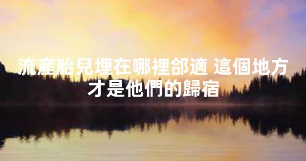 流産胎兒埋在哪裡郃適 這個地方才是他們的歸宿